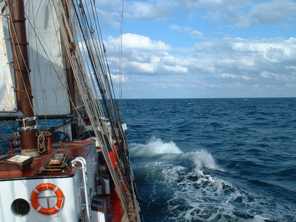bild003.jpg