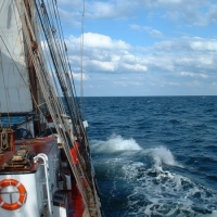 bild003