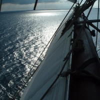bild008