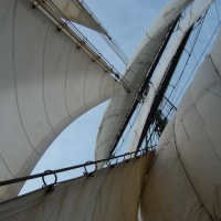 bild015