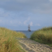 bild021